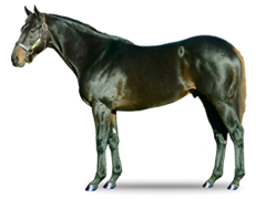 Ivar